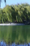 公园风景 