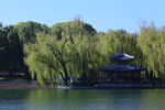 公园风景 