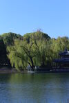 公园风景  