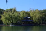 公园风景  