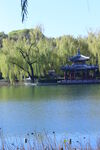 公园风景 