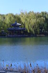 公园风景  