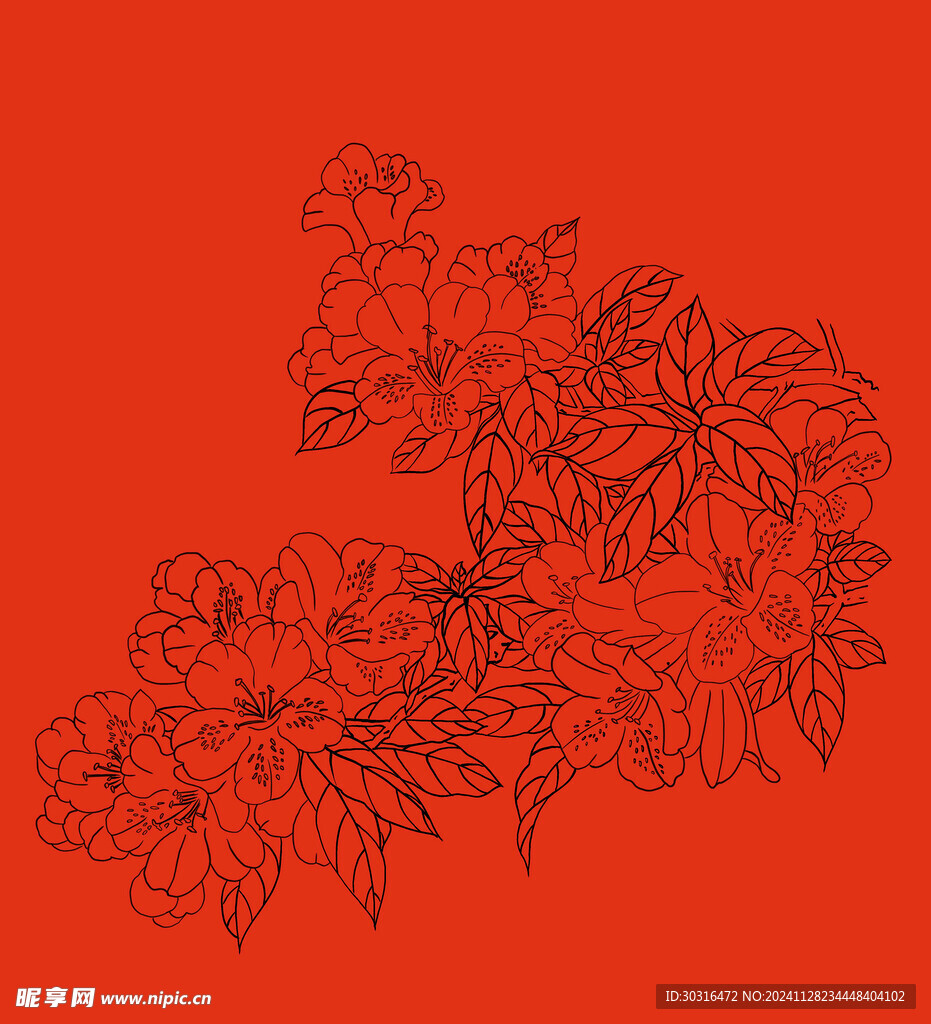 杜鹃花