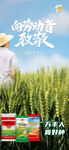 五一劳动节