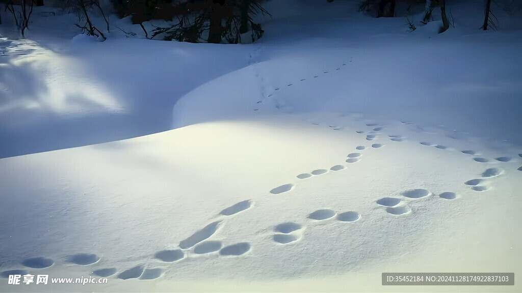 雪地