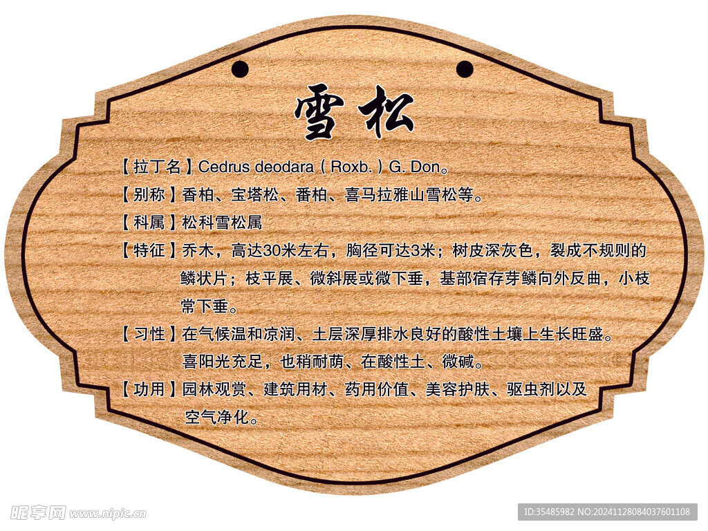 树木牌
