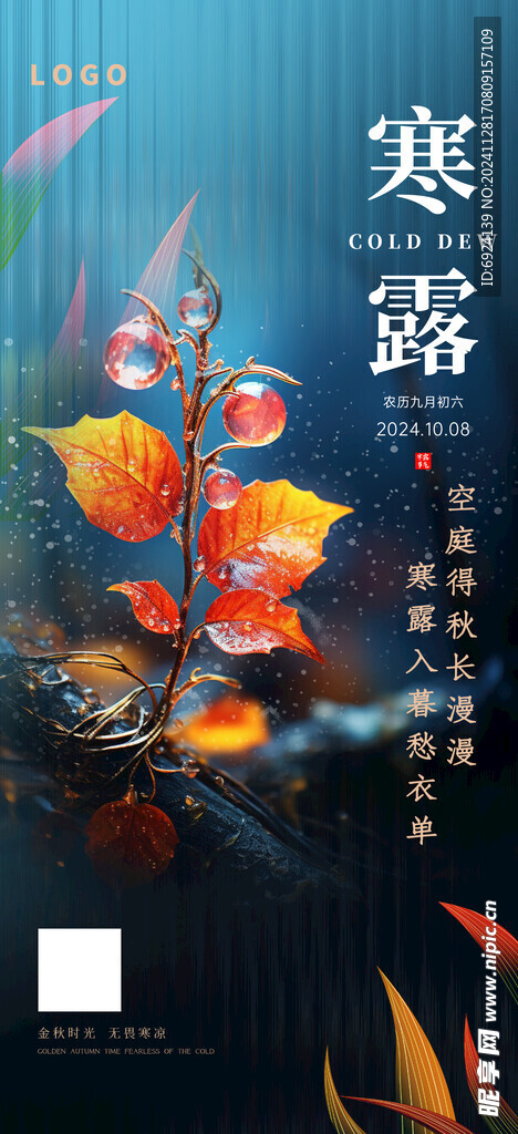 寒露海报