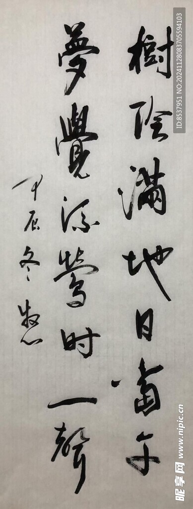 树荫满地日当午