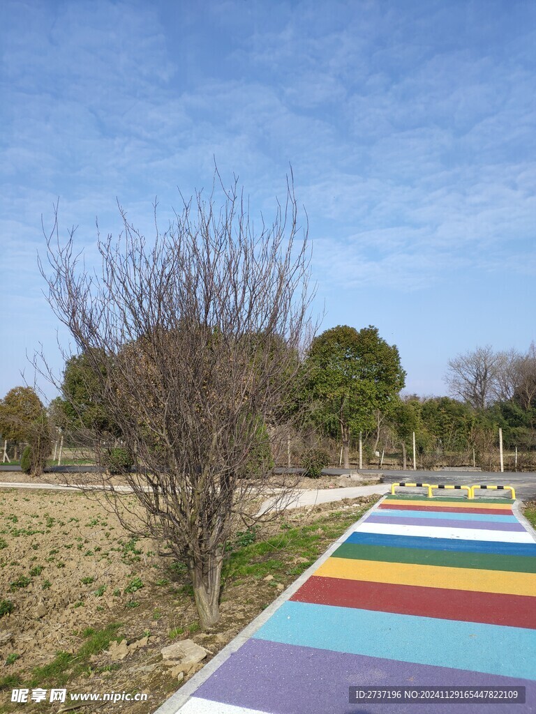 彩虹步道