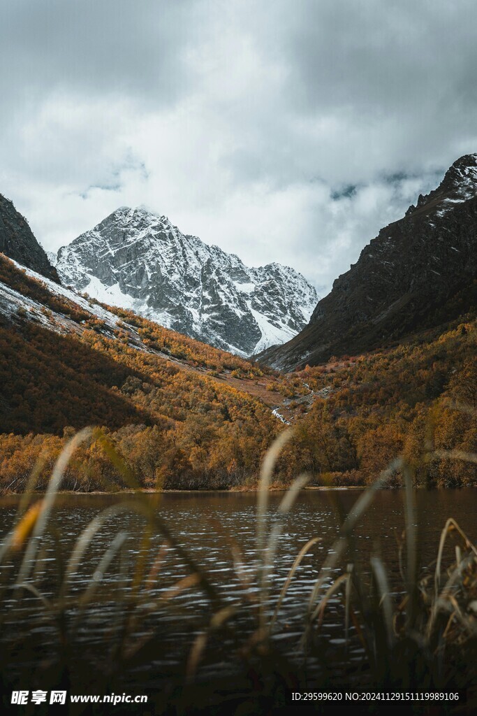 雪山  