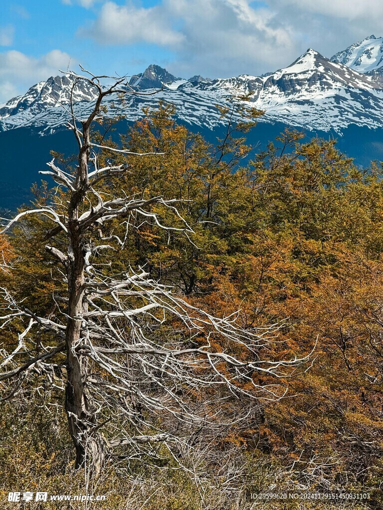 雪山  