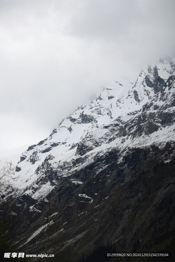 雪山 
