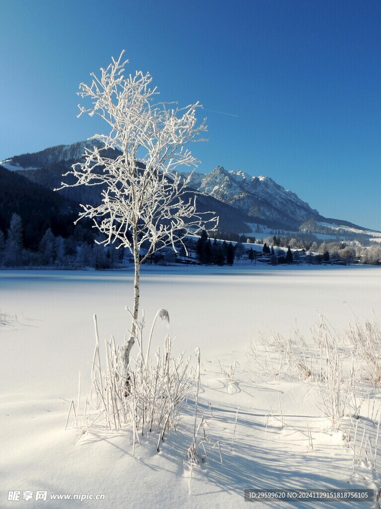 雪山 