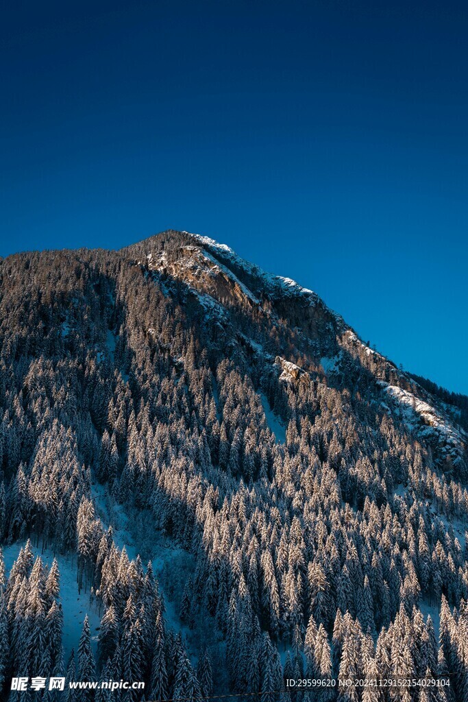 雪山  