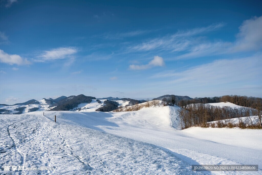 雪山 