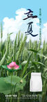 立夏