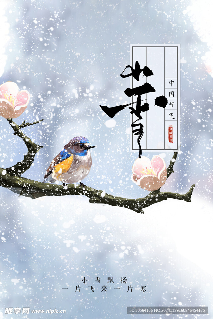 小雪