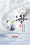 小雪