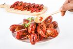 小龙虾摄影图