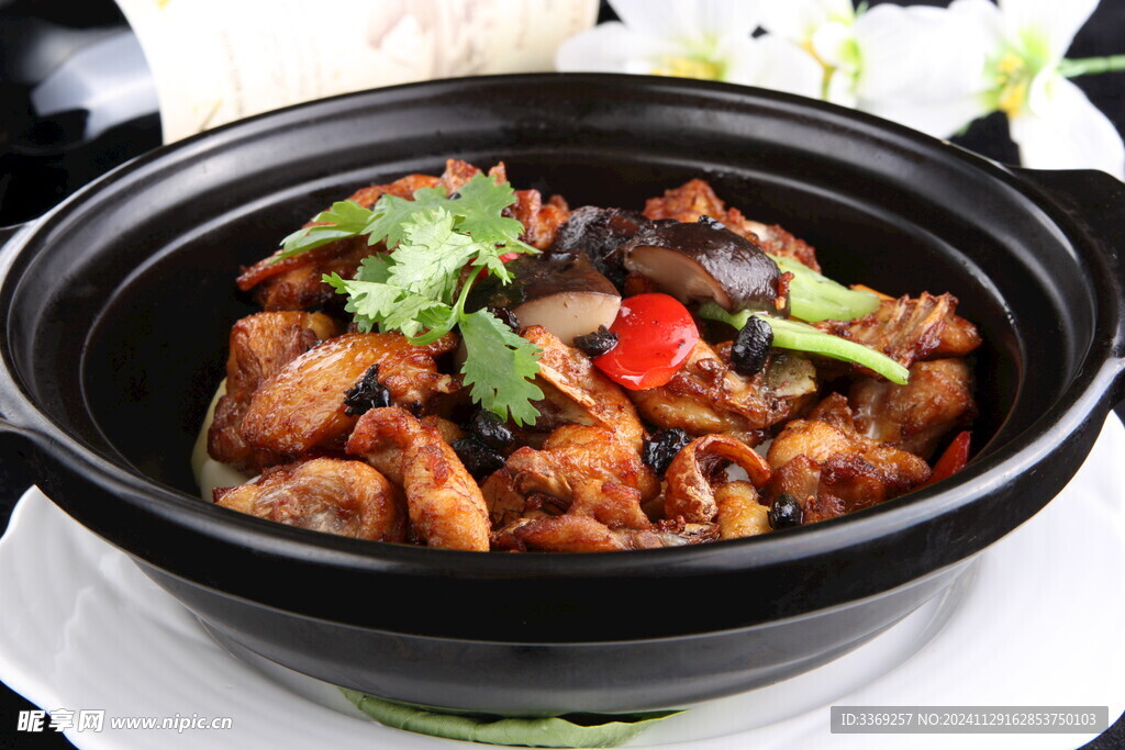 鸡煲