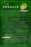 人参海报 