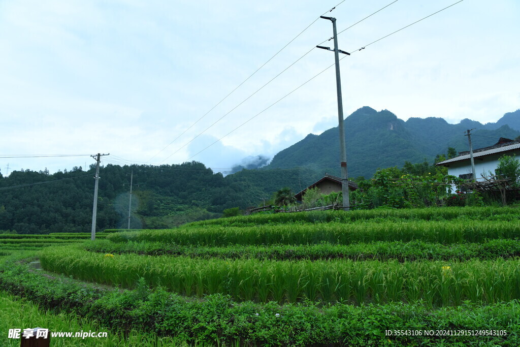 黄柏塬