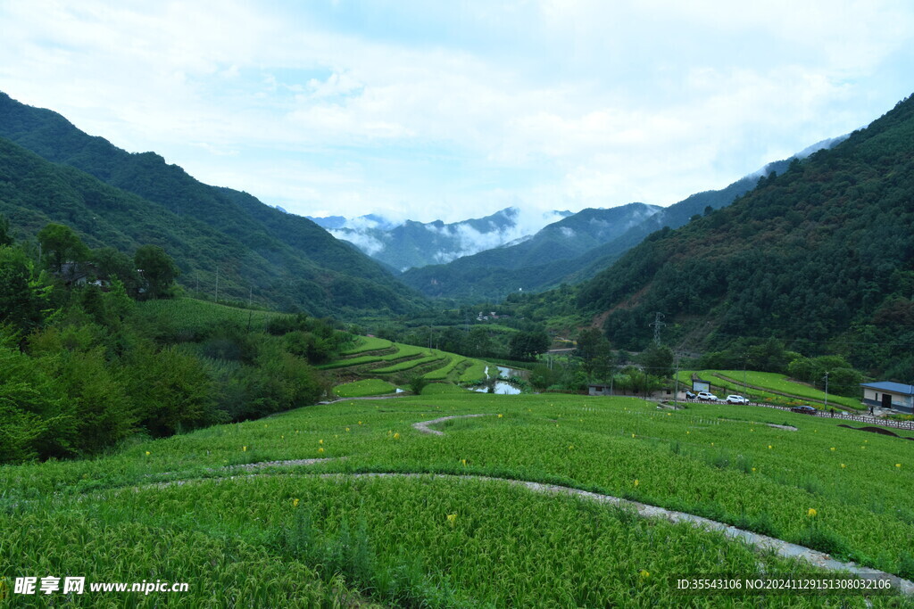 黄柏塬