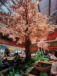 室内观景树