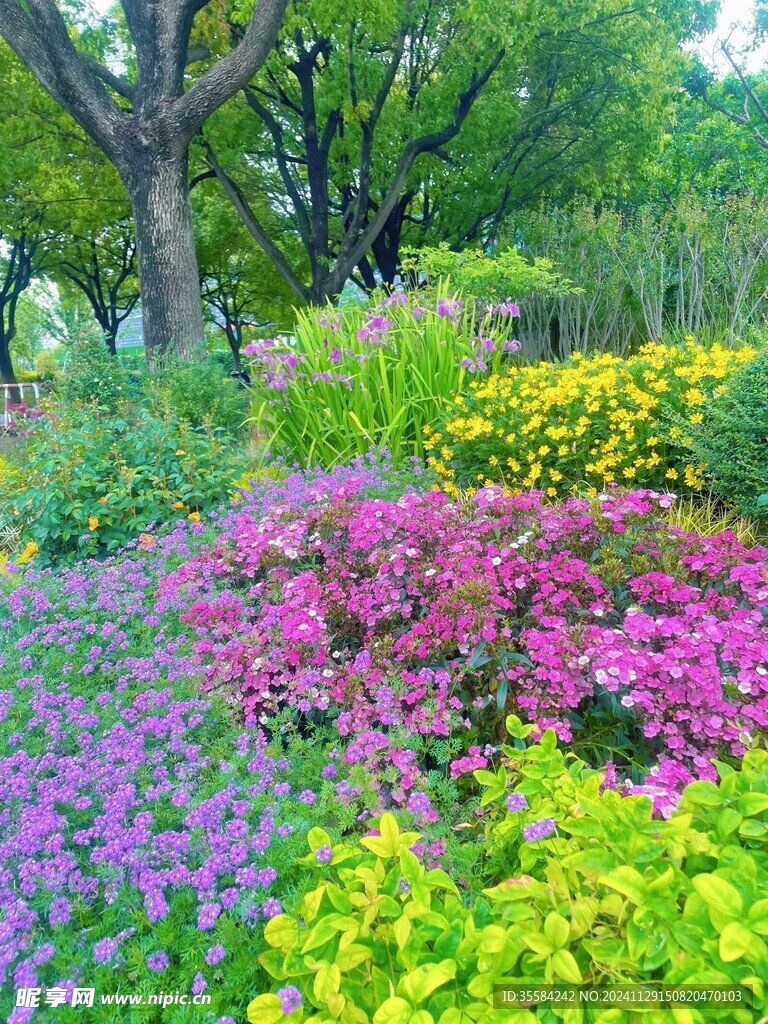 莫奈花园  