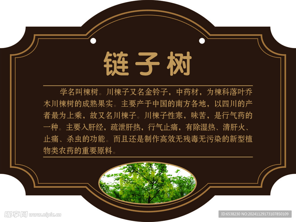 树牌