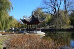 公园风景 