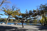 公园风景  
