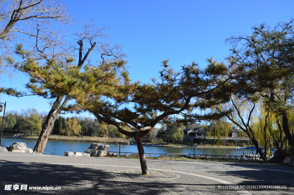 公园风景  