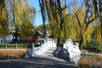 公园风景  