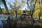 公园风景  