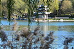 公园风景 