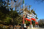 公园风景  