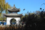 公园风景 