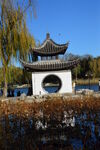 公园风景 