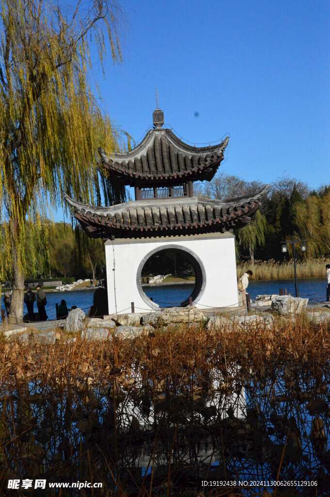 公园风景 