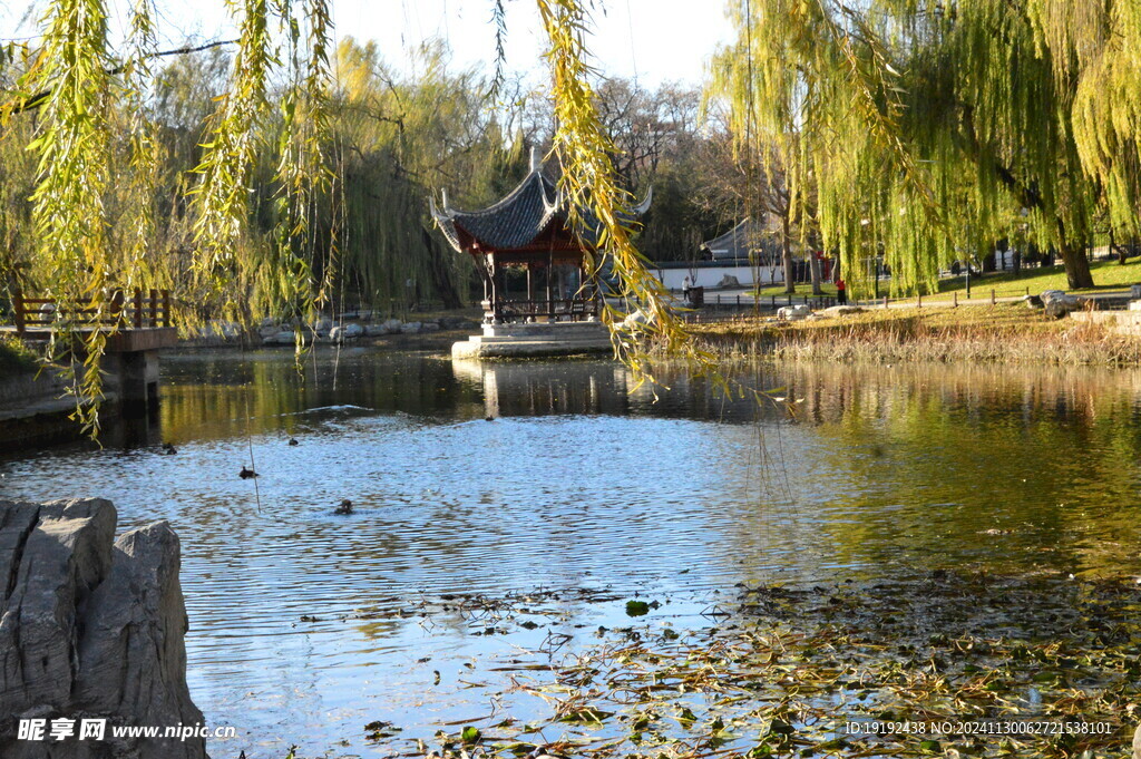 公园风景  