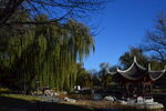 公园风景 
