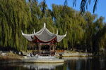 公园风景 