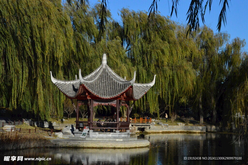 公园风景 
