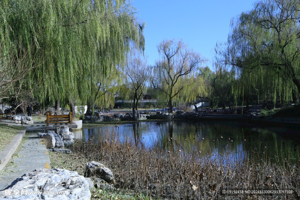 公园风景