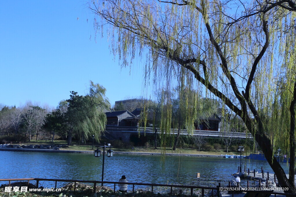 公园风景 