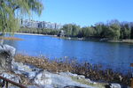 公园风景