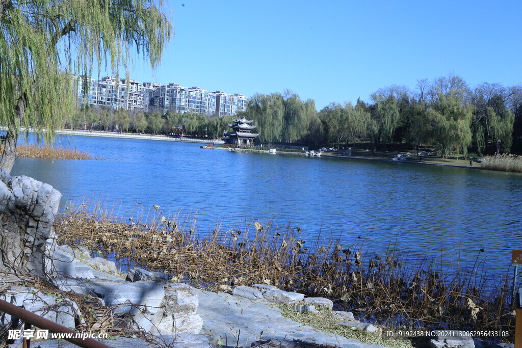 公园风景