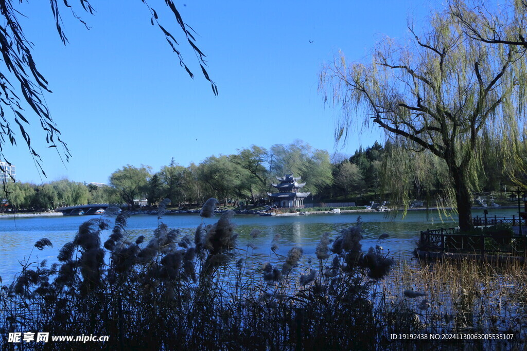 公园风景 