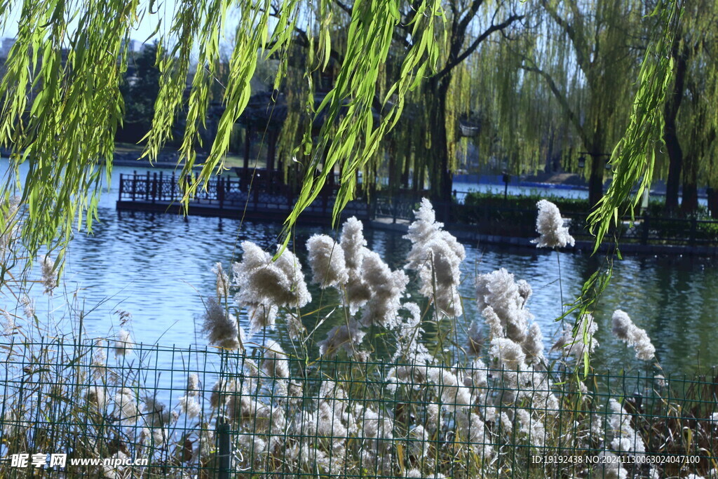 公园风景